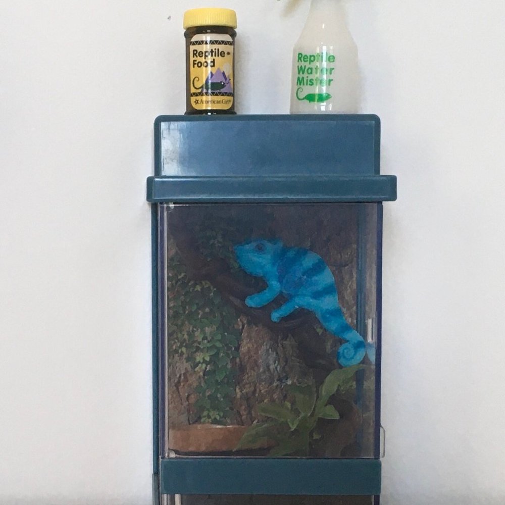 Chameleon Terrarium Set - Doll American Girl